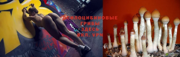 дурь Бородино