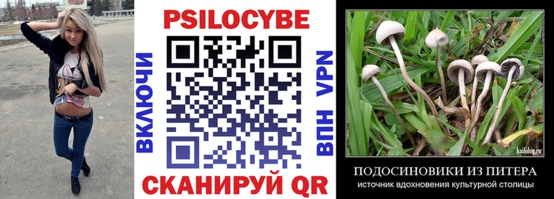Псилоцибиновые грибы мухоморы  hydra зеркало  Дедовск  наркошоп 
