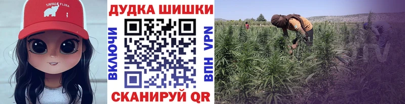 MEGA сайт  Дедовск  Марихуана гибрид 